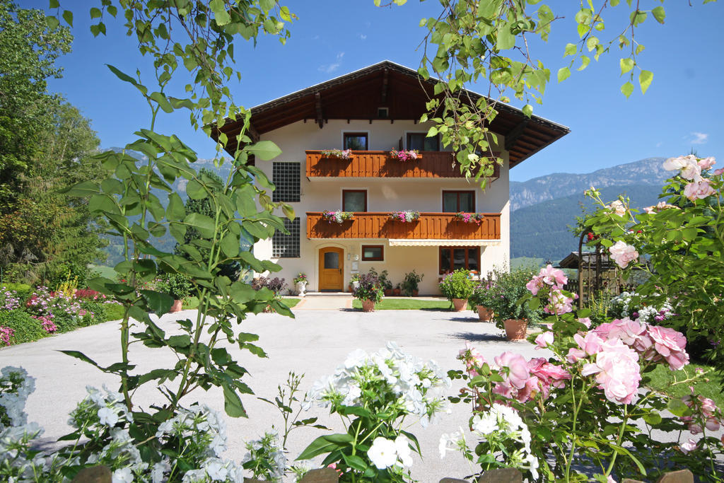 Hotel Rosspointnerhof Haus im Ennstal Exteriér fotografie